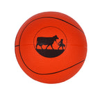 Basketball Stress Ball