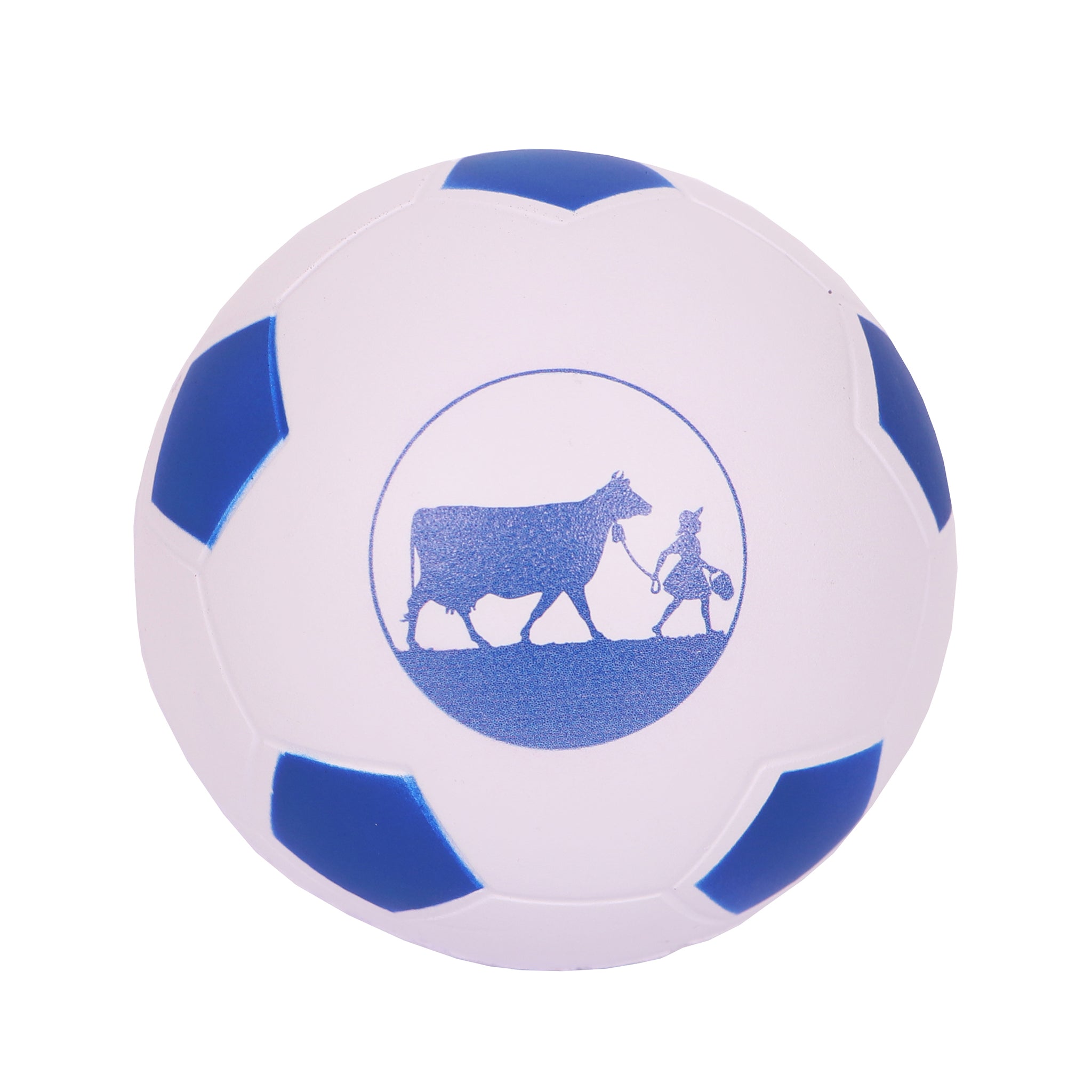 Soccer Ball Foam
