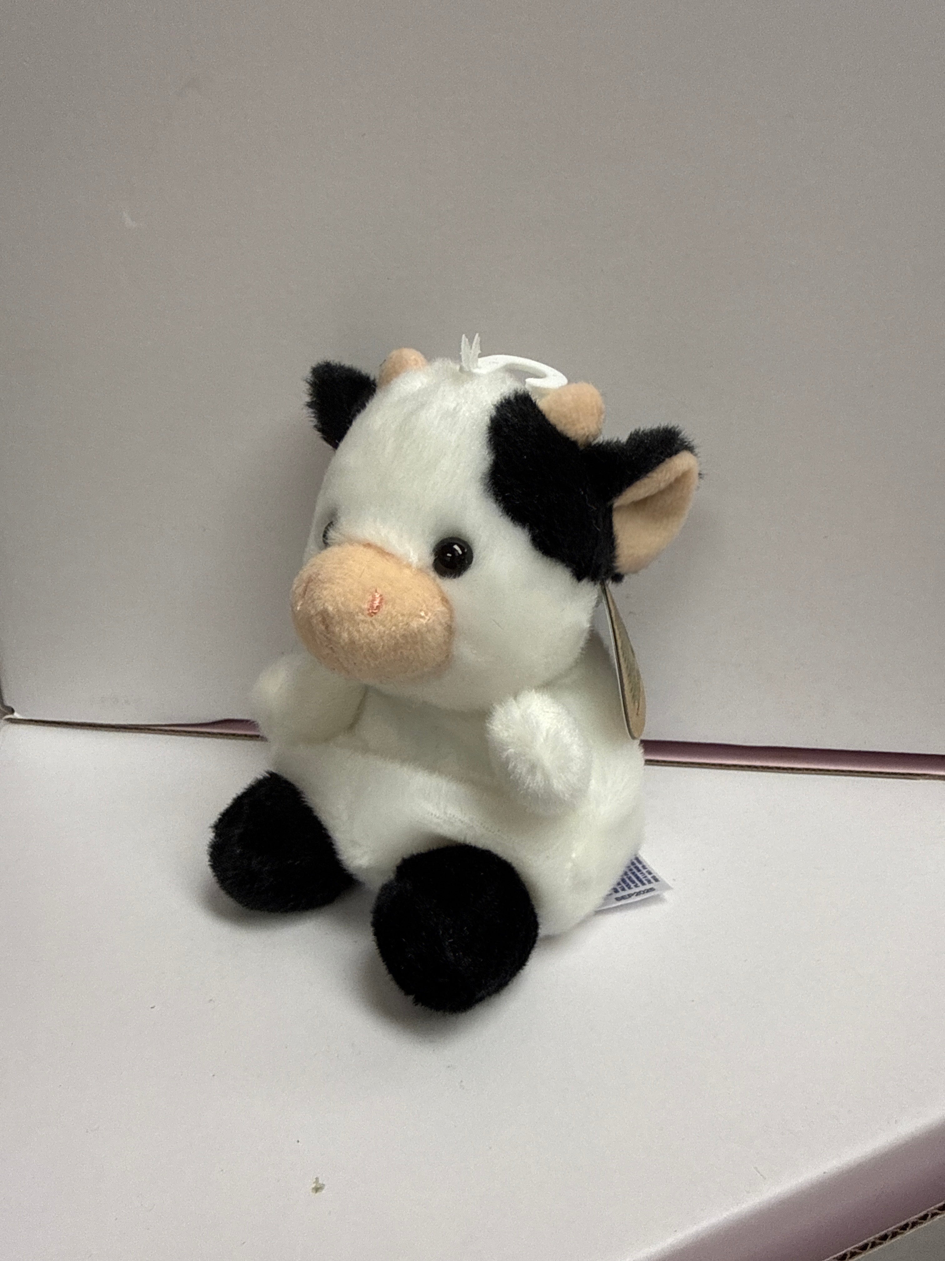 Cow 5 Sweetie
