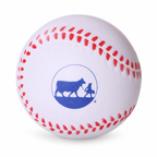 Baseball Stress Ball