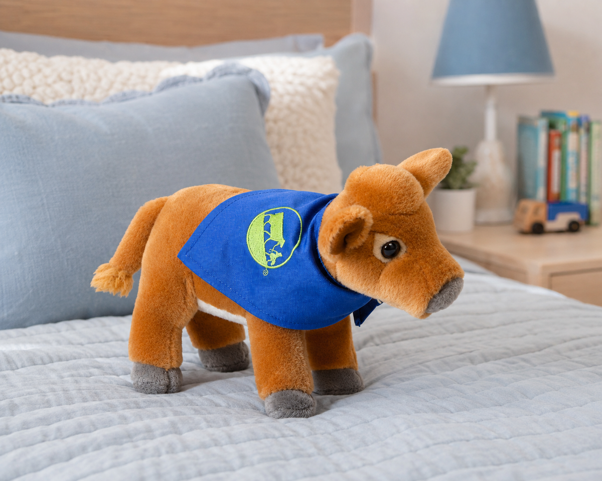 Brown Cow Jersey