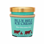 Pint Koolie Mint Choc Chip