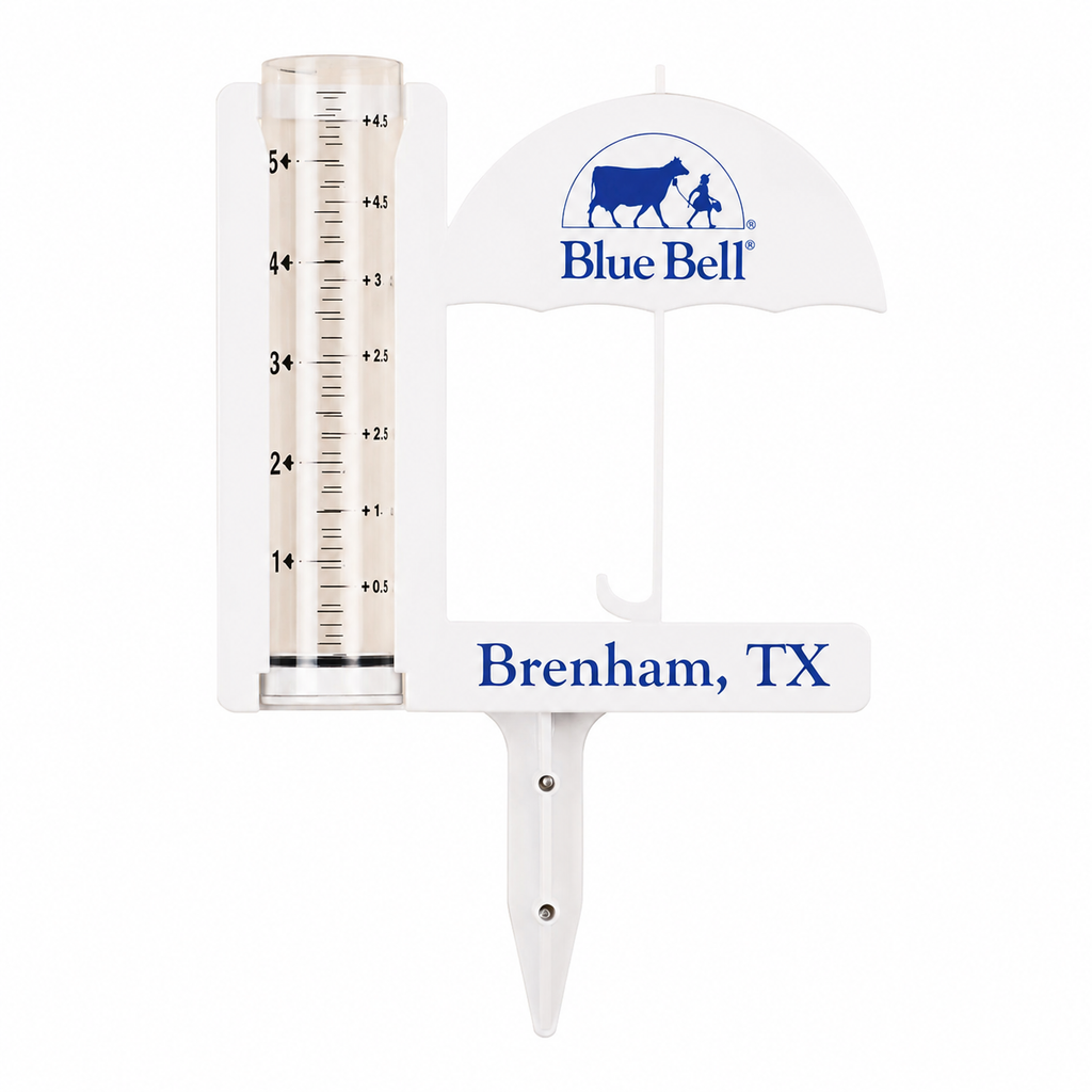Rain Gauge