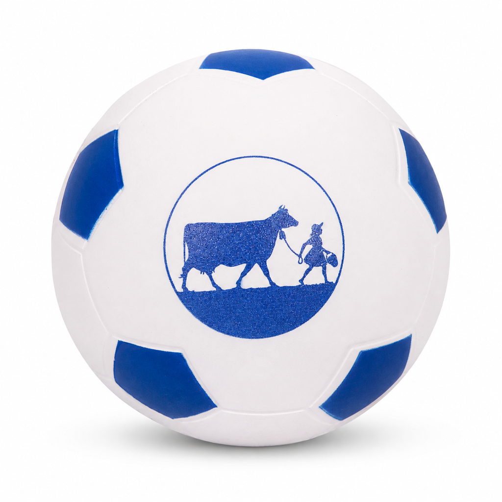 Soccer Ball Foam