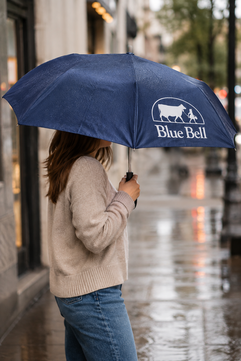 Umbrella Navy Compact