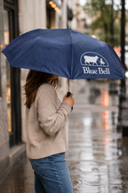 Umbrella Navy Compact