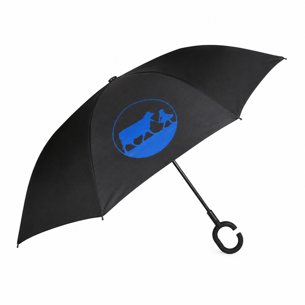 Umbrella Reversible