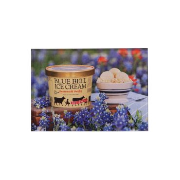 Magnet Hmv Bluebonnet