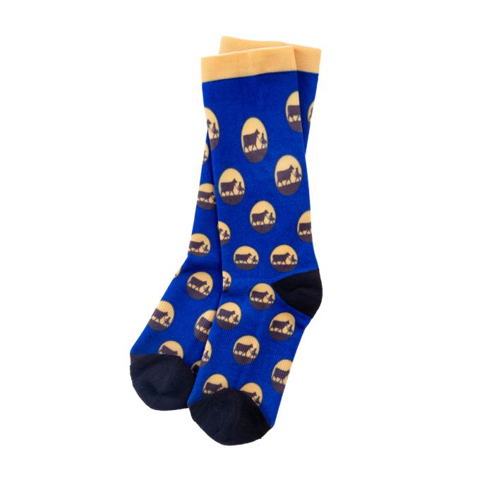 Sock Logo