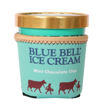 Pint Koolie Mint Choc Chip