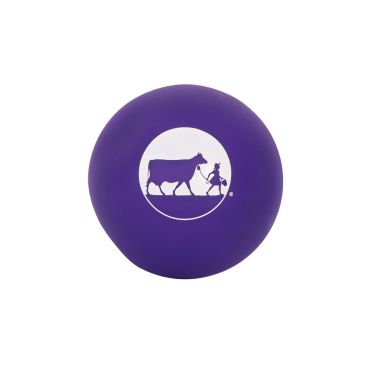 Dog Ball Squeaky